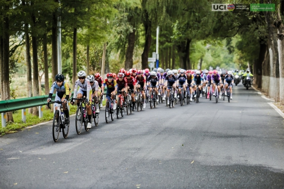 众体育与竞, 一体的, Gwxxm 众体育与竞, 一体的, Gwxxm